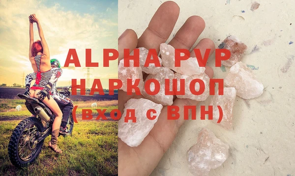spice Белокуриха