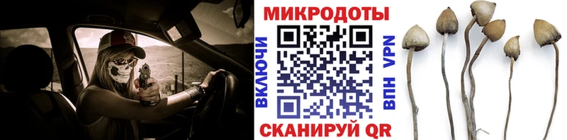 даркнет как зайти Новое Девяткино Псилоцибиновые грибы GOLDEN TEACHER